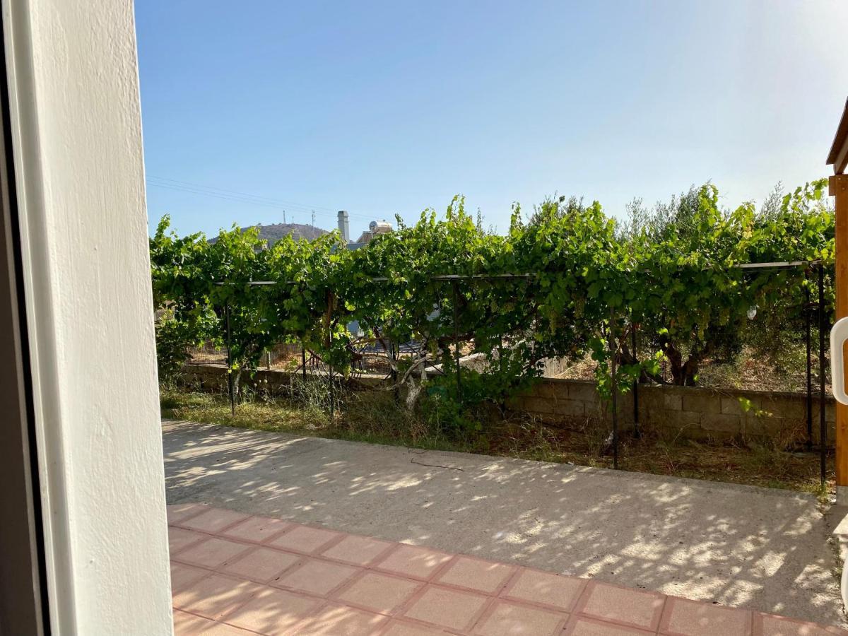 Family Friendly Apartment, In Nature, With Yard "5" Ziparion Екстер'єр фото